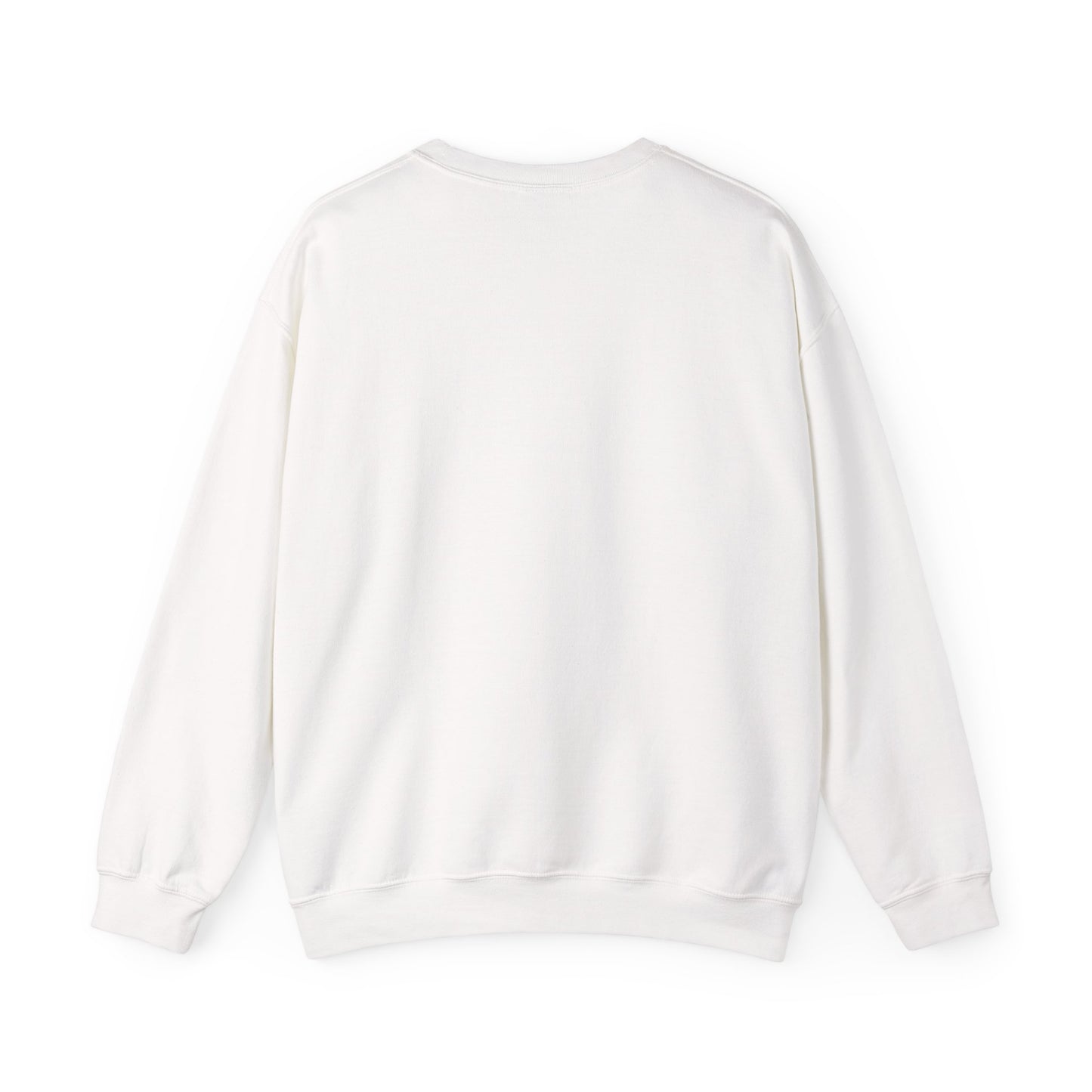 Amsterdam Bicycle Graphic Sweatshirt – The City of Freedom Crewneck