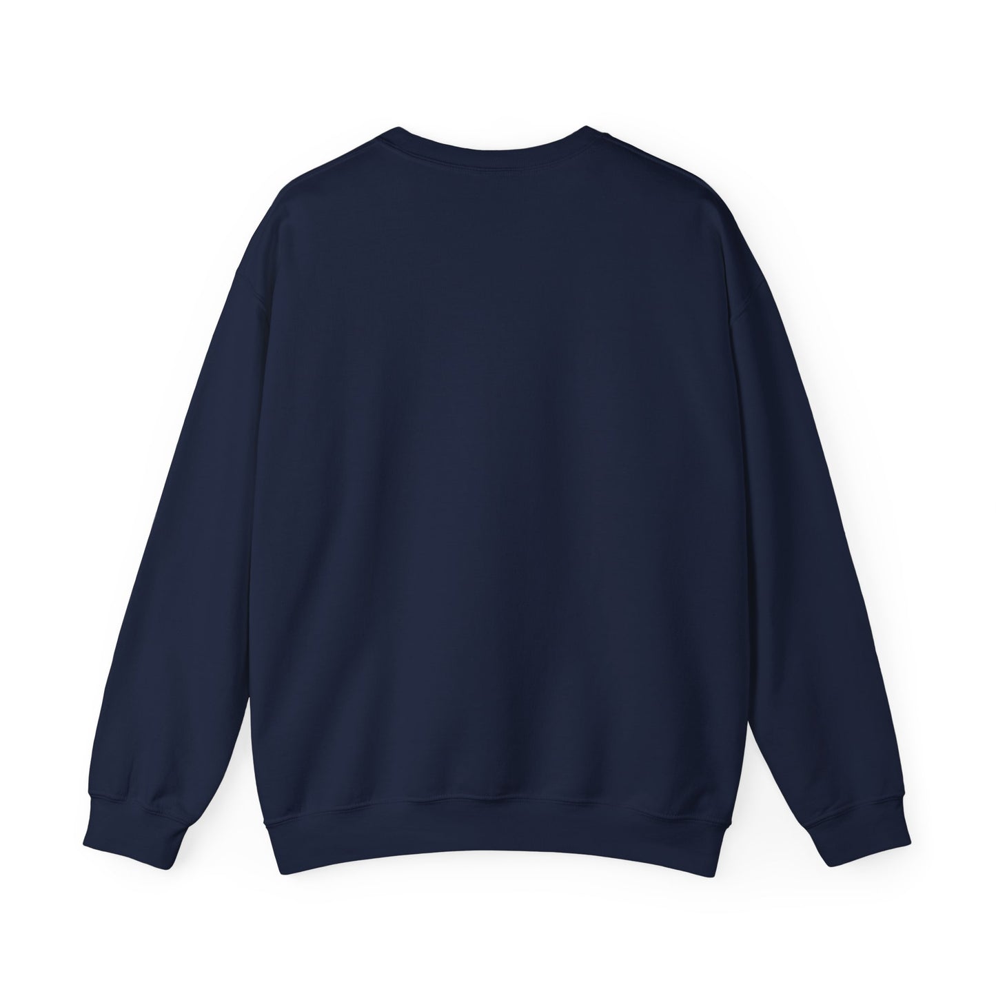 Amsterdam Bicycle Graphic Sweatshirt – The City of Freedom Crewneck
